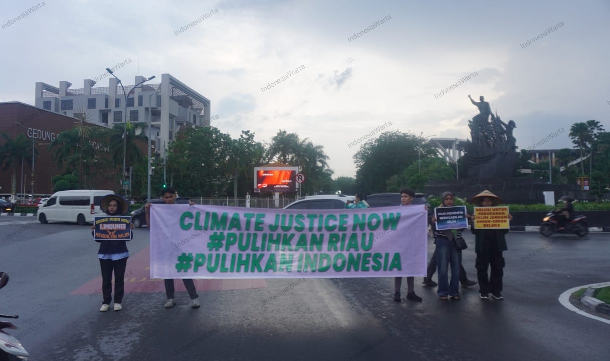 Penyebab Krisis Iklim di Riau Dampak Industri Ekstraktif