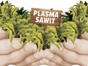300 Ha Hak Masyarakat Atas Kepemilikan Lahan KKPA PT Adei Nyaris Lesap