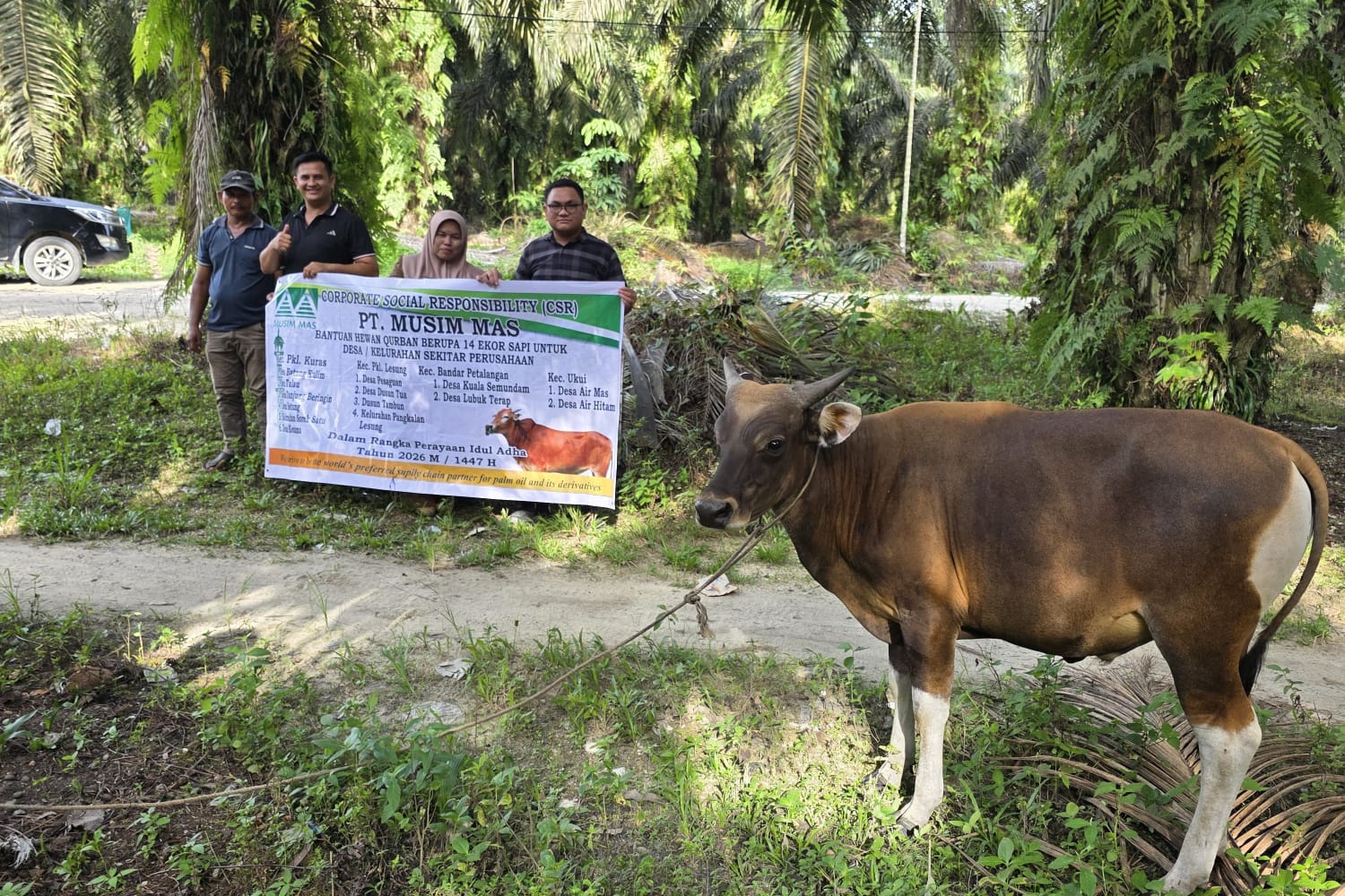 14 Desa di Pelalawan Terima Sapi Qurban dari PT Musim Mas