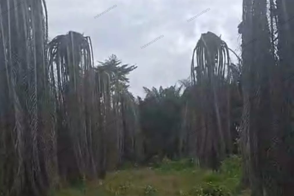 ALUN Dukung Polda Riau Usut Tuntas Tindak Pidana Kejahatan Lingkungan