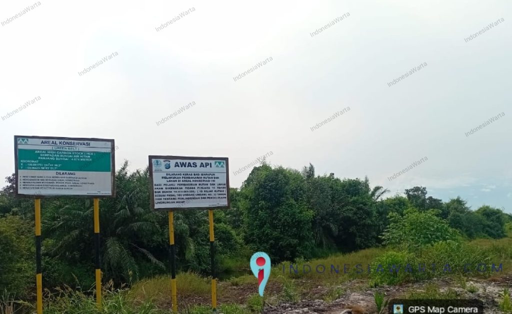 Kejahatan Ekologis: Dari Total Luas HGU PT MM, Polisi Nyatakan Puluhan Hektare Tumpang Tindih