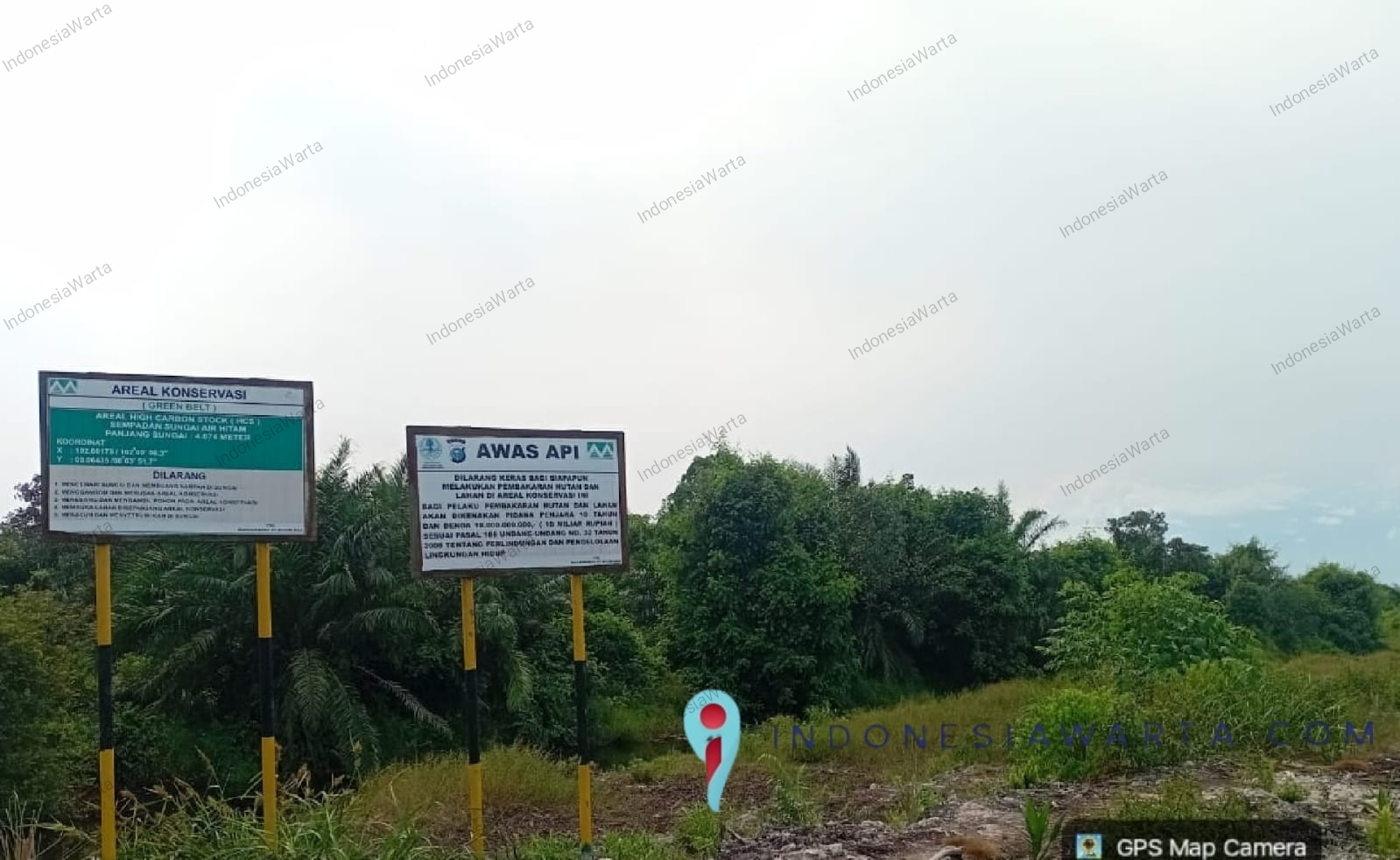 Kejahatan Ekologis: Dari Total Luas HGU PT MM, Polisi Nyatakan Puluhan Hektare Tumpang Tindih