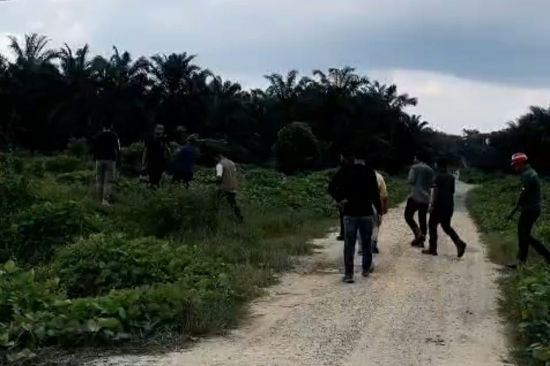 Polisi Periksa Kebun Sawit PT Sari Lembah Subur, Dugaan Perusakan Ekologis