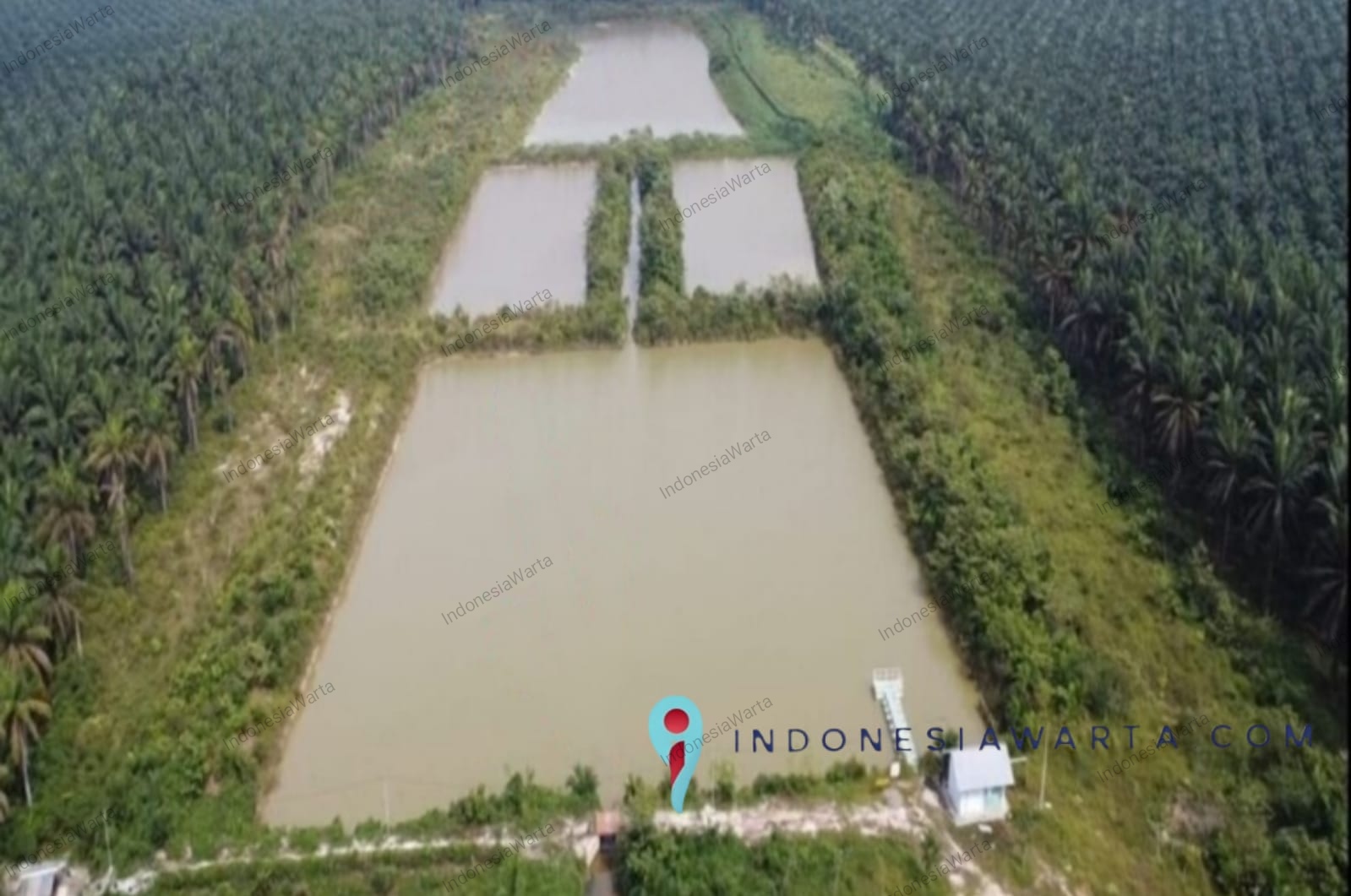 Sederet Kerusakan Lingkungan yang Diduga Dampak Operasional PT SLS