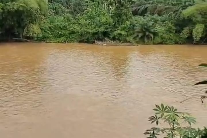 Puluhan Ekscavator Diduga Menggila di Hulu Kampar, Ribuan Warga Jadi Korban