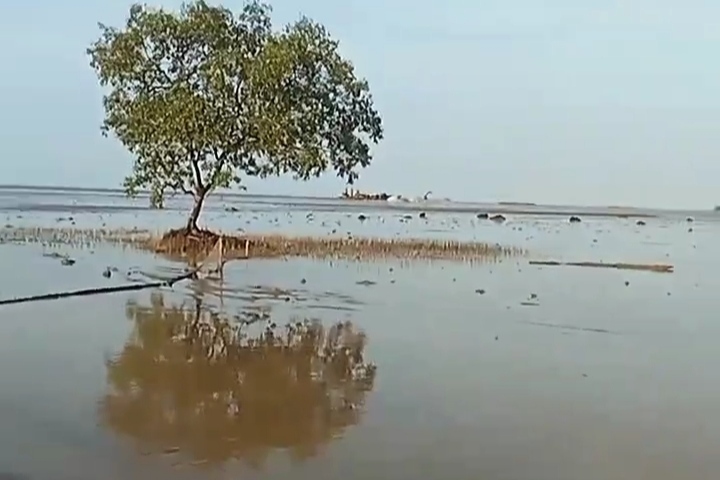 Pantai Teluk Papal Hanyut, Masyarakat Bengkalis Dihantui Rasa Was-was