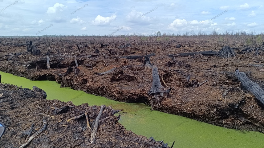 Aktivis Soroti Pembentukan BPGMN, Desak Evaluasi Izin Korporasi